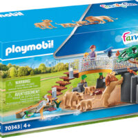 Playmobil Family Fun: Enclosure with Lions(70343)