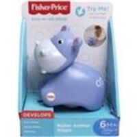 Fisher Price Γυριστρούλια Ζωάκια-3 Σχέδια (FRR65)